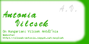 antonia vilcsek business card